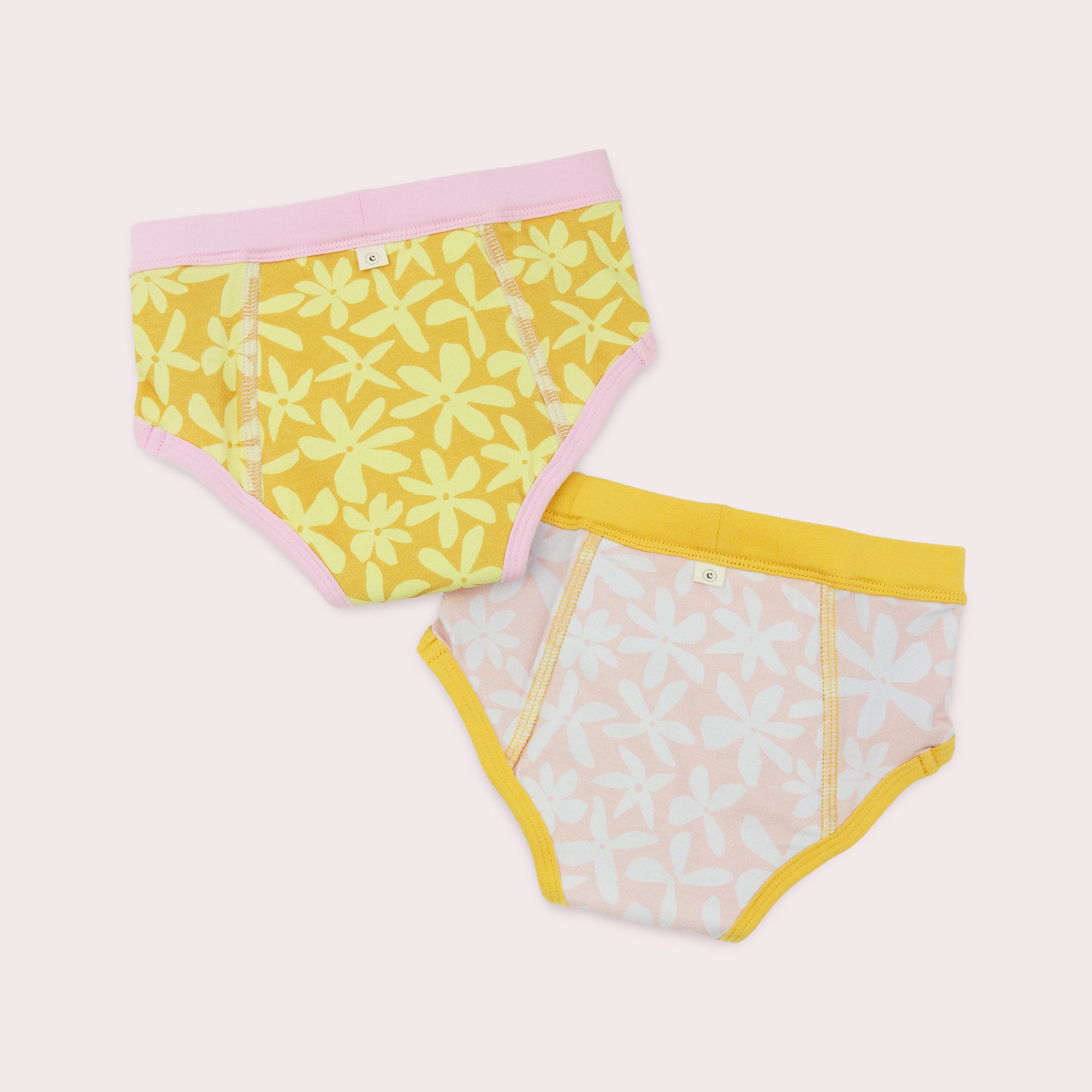 Daisy Training Pants 2 Pack EcoNaps Modern Cloth Nappies