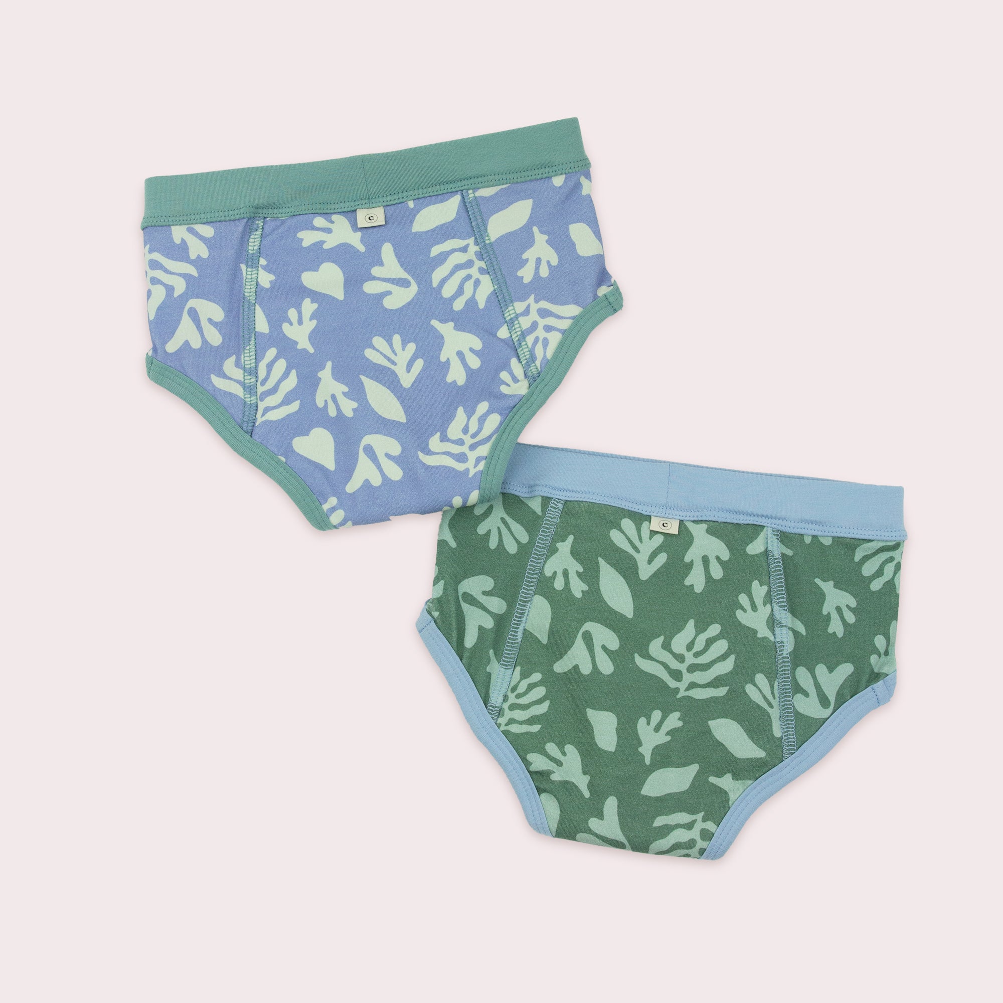 EcoNaps Reusable Training Pants 2 Pack - Sea Life - 2-3y